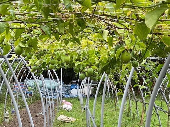 Canaan Beauty Farm B&B Chenggong Exterior foto