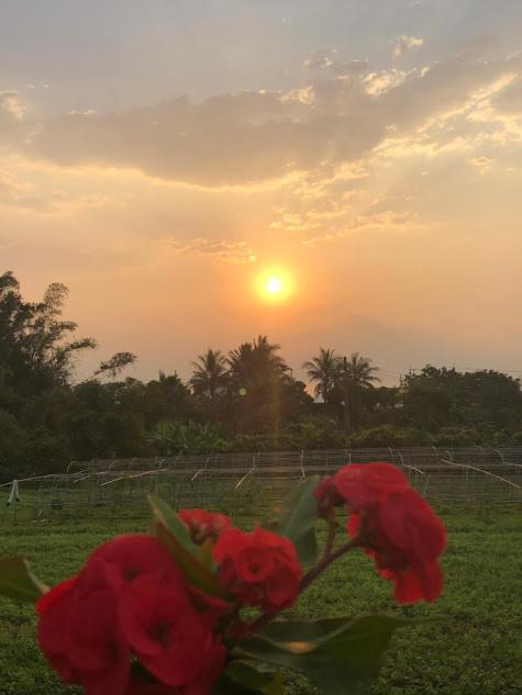 Canaan Beauty Farm B&B Chenggong Exterior foto